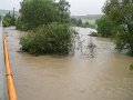 Povodne 203-2010   60
